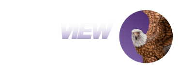 Eagle View Tracking Logo